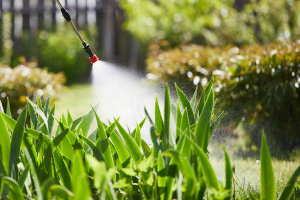 Tamper-Resistant Bait Stations for Rodents in Troy