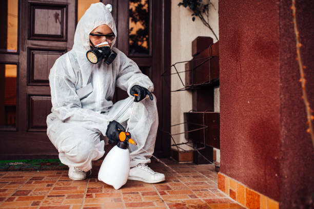 Attic and Crawl Space Rodent Treatment in Troy